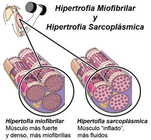 foto de ficha